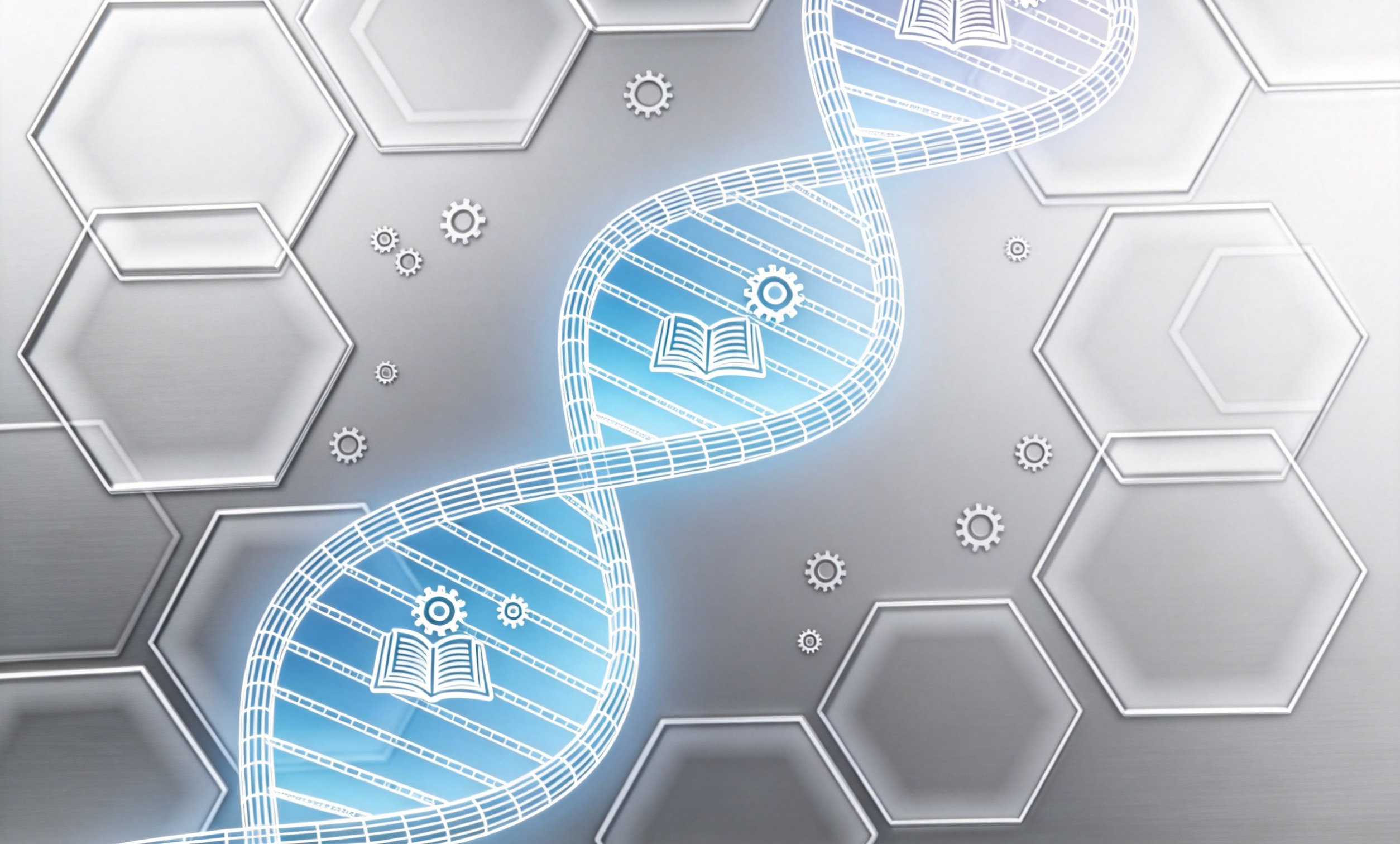 软件本地化翻译的本地化测试包括哪些内容,如何评估?